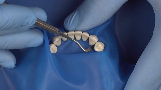 7a98a26a9f9c98b7a1d792351c71b685